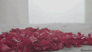Голая на лепестках роз
